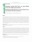 Research paper thumbnail of Pseudotsuga menziesii (Mirb.) Franco var. glauca (Beissn.) Franco: nuevo registro para Guanajuato