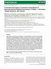 Research paper thumbnail of Cinnamate‐CoA ligase is involved in biosynthesis of benzoate‐derived biphenyl phytoalexin in Malus  ×  domestica ‘Golden Delicious’ cell cultures