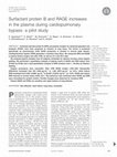 Research paper thumbnail of Surfactant protein B and RAGE increases in the plasma during cardiopulmonary bypass: a pilot study