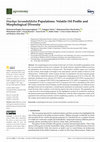 Research paper thumbnail of Stachys lavandulifolia Populations: Volatile Oil Profile and Morphological Diversity