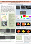 Research paper thumbnail of SURFACE PHASE SEPARATION AND SELF-ORGANIZED 2D STRUCTURES OF BLOCK COPOLYMER /Fe HYBRIDS