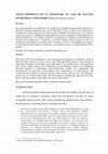 Research paper thumbnail of VOCES FEMINISTAS EN LA LITERATURA. EL CASO DE ALGUNAS ESCRITORAS LATINOAMERICANAS