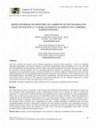 Research paper thumbnail of Mentoring informal networks in the technological based incubator environment: the support to the entrepreneurial career development