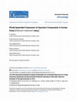 Research paper thumbnail of Ploidy dependent expression of apomixis and its components in guinea grass (Panicum maximum Jacq.)