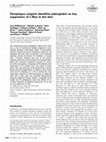 Research paper thumbnail of Pemphigus vulgaris identifies plakoglobin as key suppressor of c-Myc in the skin