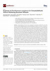 Research paper thumbnail of Exposure of Pseudomonas aeruginosa to Cinnamaldehyde Selects Multidrug Resistant Mutants