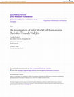 Research paper thumbnail of An Investigation of Inital Shock Cell Formation in Turbulent Coanda Wall Jets