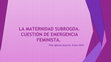 Research paper thumbnail of LA MATERNIDAD SUBROGADA. CUESTIÓN DE EMERGENCIA FEMINISTA