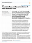 Research paper thumbnail of A symbolic Neanderthal accumulation of large herbivore crania