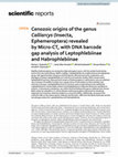 Research paper thumbnail of Cenozoic origins of the genus Calliarcys (Insecta, Ephemeroptera) revealed by Micro-CT, with DNA barcode gap analysis of Leptophlebiinae and Habrophlebiinae