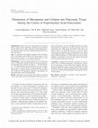 Research paper thumbnail of Penetration of Meropenem and Cefepim into Pancreatic Tissue During the Course of Experimental Acute Pancreatitis