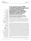 Research paper thumbnail of In vivo spectroscopy and NMR metabolite fingerprinting approaches to connect the dynamics of photosynthetic and metabolic phenotypes in resurrection plant Haberlea rhodopensis during desiccation and recovery