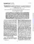 Research paper thumbnail of Hemagglutination activities of group B, C, D, and G streptococci: demonstration of novel sugar-specific cell-binding activities in Streptococcus suis