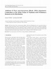 Research paper thumbnail of Addition of Ptyas nigromarginata (Blyth, 1854) (Squamata: Colubridae) to the Snake Fauna of Thailand with Preliminary Remarks on Its Distribution