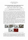 Research paper thumbnail of Petro-Archaeometric Characterization of Kiln Pottery Wastes from Adrano, Sicily