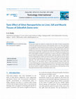 Research paper thumbnail of Toxic Effect of Silver Nanoparticles on Liver, Gill and Muscle Tissues of Zebrafish Danio rerio