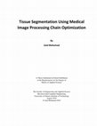 Research paper thumbnail of Tissue segmentation using medical image processing chain optimization