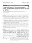 Research paper thumbnail of Horizontal transfer of antibiotic resistance genes into microflora and blood cells in rats fed on GM-diet