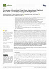 Research paper thumbnail of Arbuscular Mycorrhizal Fungi from Argentinean Highland Puna Soils Unveiled by Propagule Multiplication