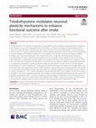 Research paper thumbnail of Triiodothyronine modulates neuronal plasticity mechanisms to enhance functional outcome after stroke