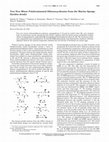 Research paper thumbnail of Two New Minor Polybrominated Dibenzo-p-dioxins from the Marine Sponge Dysidea dendyi