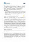 Research paper thumbnail of Molecular and Morphological Phylogenetic Analyses of Themidaceae (Asparagales)