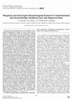 Research paper thumbnail of Polyphyly and Convergent Morphological Evolution in Commelinales and Commelinidae: Evidence from rbcL Sequence Data