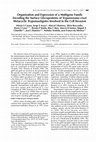 Research paper thumbnail of Organization and expression of a multigene family encoding the surface glycoproteins of Trypanosoma cruzi metacyclic trypomastigotes involved in the cell invasion