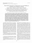 Research paper thumbnail of Heterologous Expression of Trypanosoma cruzi trans -Sialidase in Leishmania major Enhances Virulence