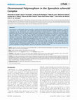 Research paper thumbnail of Chromosomal Polymorphism in the Sporothrix schenckii Complex