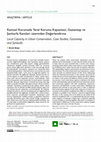 Research paper thumbnail of Kentsel Korumada Yerel Koruma Kapasitesi; Gaziantep ve Şanlıurfa Kentleri üzerinden Değerlendirme