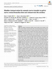 Research paper thumbnail of Bladder reinnervation by somatic nerve transfer to pelvic nerve vesical branches does not reinnervate the urethra