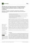 Research paper thumbnail of Identification and Characterization of Fungal Pathogens Causing Trunk and Branch Cankers of Almond Trees in Morocco