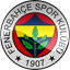 Fenerbahce Sk Icon