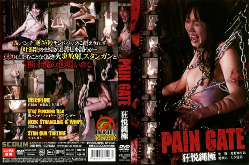 PAIN GATE 狂悦縄極