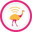 @freifunk-rz