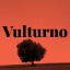 @vulturno