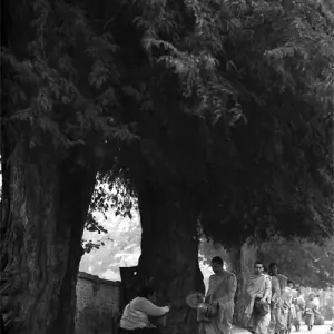 Buddhist monks walking to ask fro alms