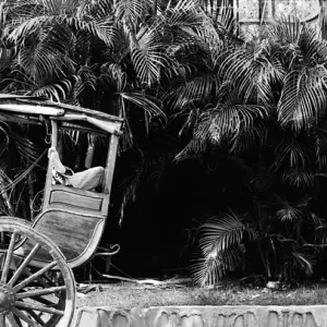 Choachman relaxing on seat of vehicle