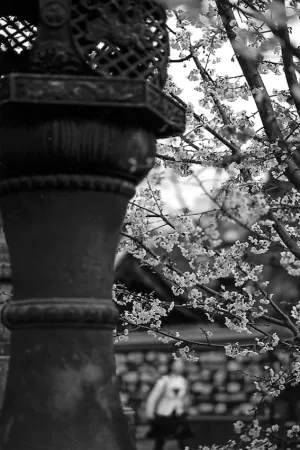 Figure walking behind the bronze lantern