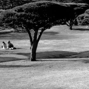 Two girls lying on lawn