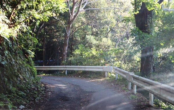 道幅が狭い山道