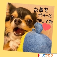 にほんブログ村 犬ブログへ