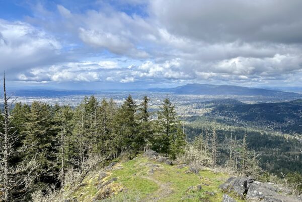 The view from Spencer's Butte above Eugene, Oregon. A grassy pathway leads to a bank of pine trees in the middle distance. Beyond the trees and far below lies Eugene, OR. In the distance are mountains, the blue sky filled with gray and white clouds.