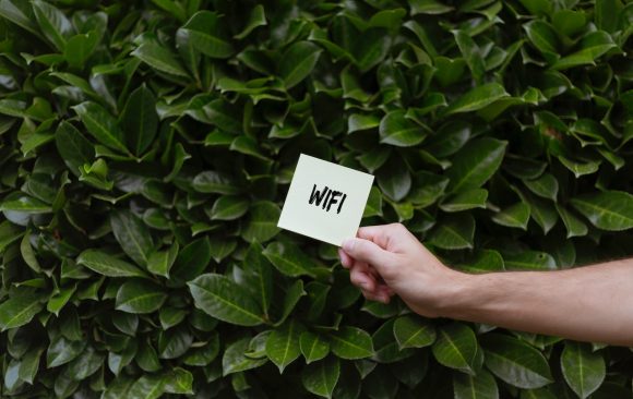 Üniversite Kampüsündeki Wi-Fi Ağları Nasıl Çalışır?