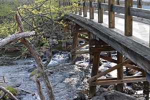 湖畔の橋 - 湯滝と湯ノ湖