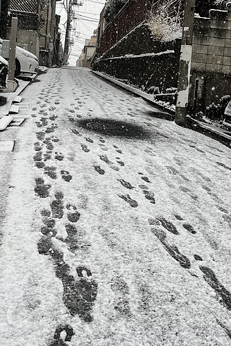 都内の積雪 - 都内は久しぶりの積雪に