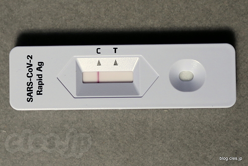 SARS-CoV-2 Rapid Antigen Test - 久しぶりに普通の風邪をひいたらしい