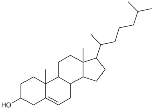 Cholesterol skeleton with no defined stereochemistry