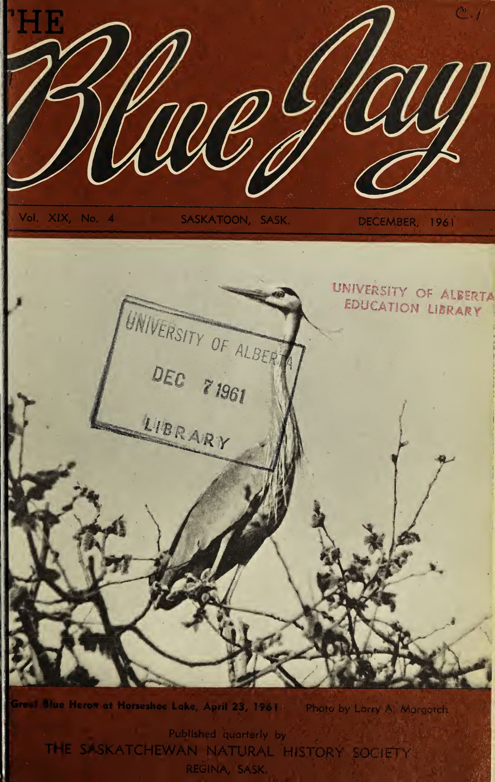 Blue Jay Cover December 1961